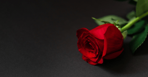 Blog 2